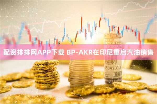 配资排排网APP下载 BP-AKR在印尼重启汽油销售